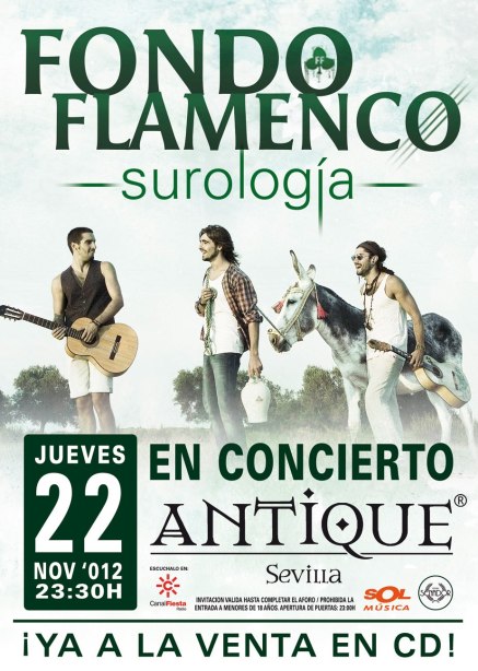 Fondo flamenco en concierto. Discoteca antique